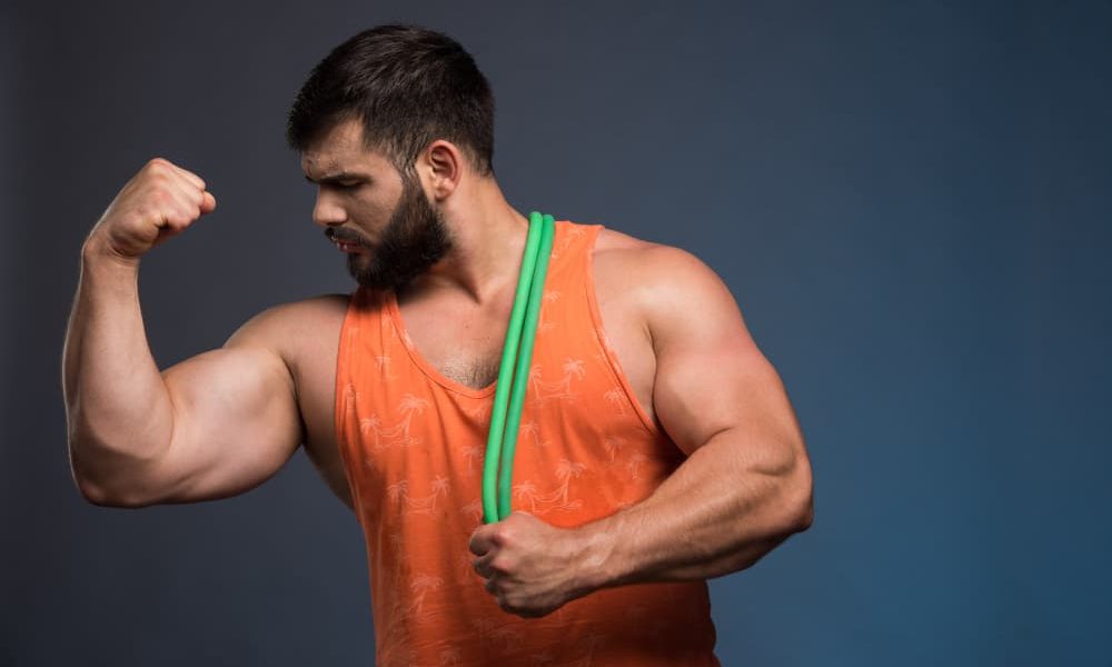 5 Best Diet Plans to Gain Muscle - God of Supps